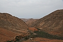 Kanary_2010 112